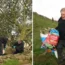 Forensic experts examine the Sycamore Gap Tree