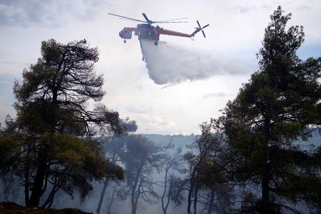 66ec9257da354791ae741db6dd159dd9 Greece Wildfires