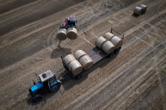 e8ca967f1cab4bca938f7a6ab2685884 Wheatfields
