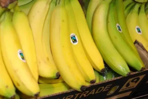 UK retailers urged to join action that ensures banana workers earn living wage