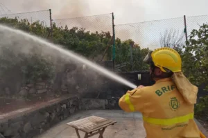 Thousands evacuated from homes in Tenerife as wildfires sweep the island