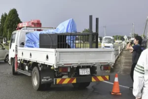 No fairy tale ending as three bears that holed up in factory are captured
