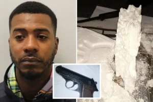 ‘Curtains were twitching’: Drug kingpins hiding in plain sight in wealthy neighbourhoods jailed in huge police swoop
