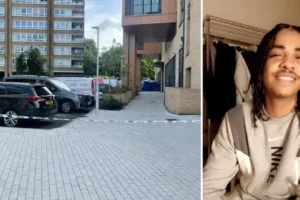 Pictured: Man, 21, shot dead in south west London as police hunt killer