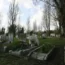 A cemetery