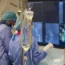PreSize software being used by surgeons live