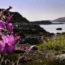 The coastline of the Shetland mainland in the Shetland Isles