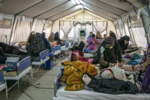 World Food Programme appeals for £15.6m aid for quake-hit Afghanistan