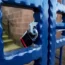 Locked school gate