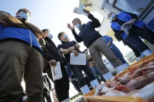 Marine samples gathered near Fukushima as treated radioactive water is released