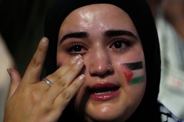f203355b4032420baa2326d8fddca2ef A pro-Palestinian protester in Madrid