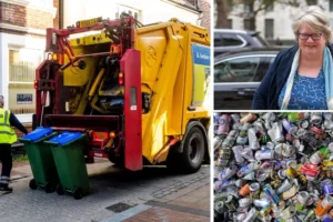 What do the new bin rules mean for me? Everything you need to know about rubbish collection in England