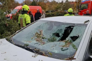 Death toll rises in Europe as Storm Ciaran arrives in Italy with record rainfall