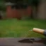 A hosepipe