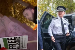 Climbing over war memorials ‘not illegal but unfortunate’, Met chief says after outrage at pro-Palestine demonstrators