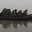 Ukrainian marines
