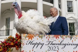 Biden pardons Thanksgiving turkeys and marks his 81st birthday with jokes