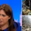 Israel's ambassador to the UK said a two-state solution was no longer possible