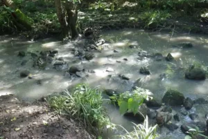 Yorkshire Water pays out record £1m after polluting Harrogate watercourse
