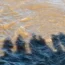 People reflected in a dirty river