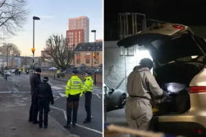 Girl ‘screamed her mum was shot in the head’: Horror of neighbours as mother-of-two, 42, shot dead in Hackney