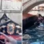 The gondola capsized after the tourists refused to stop taking selfies