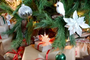 Christmas shoppers warned to be on their guard against thieves