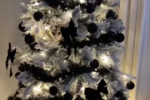 Trees-passer! Woman left horrified after finding unexpected guest ‘breathing’ in her Christmas tree