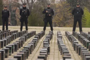 Spain seizes tons of cocaine hidden among frozen tuna in shipping containers