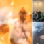 Twenty six people have been injured after a man threw three grenades in a village council meeting in western Ukraine.