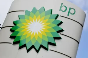 BP pauses shipments through Red Sea after rebel attacks