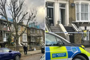Boy, 4, stabbed to death in east London home, as 41-year-old woman arrested on suspicion of murder