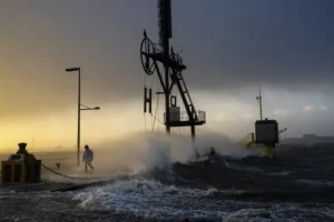 Transport disrupted and woman killed by falling tree as storms sweep Europe