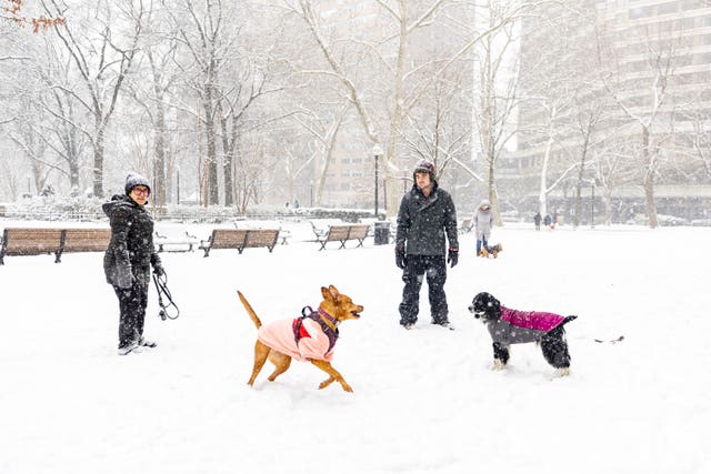 Winter weather in Philadelphia