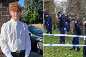 ‘His dinner’s still in the oven’: Family devastated after teen Harry Pitman killed on Primrose Hill on New Year’s Eve
