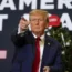 Election 2024 Trump Insurrection Amendment