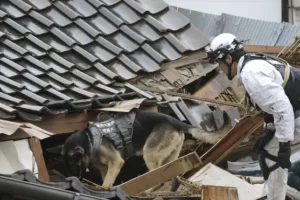 ‘Race against time’ in hunt for survivors after Japan earthquakes leave 65 dead