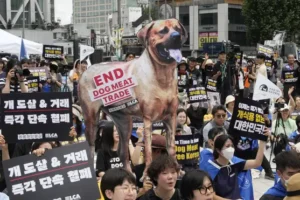 South Korean parliament endorses landmark legislation banning dog meat industry