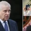 Andrew has strenuously denied the allegations against him made by Virginia Giuffre.