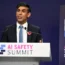 AI safety summit