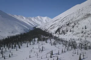 ‘Fatalities’ after charter plane crashes in north-west Canada