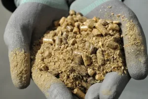 Government cannot prove biomass sustainably sourced, says National Audit Office