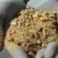 Biomass