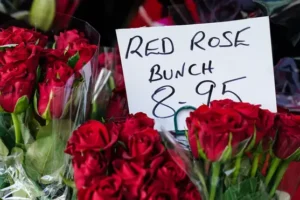 Roses are red, violets are blue, will there be a shortage from the EU?