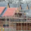 Housebuilding targets