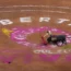 Bullfighting