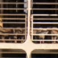 Sheep onboard stranded ship