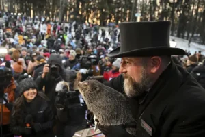 Punxsutawney Phil prepares to give weather forecast on Groundhog Day