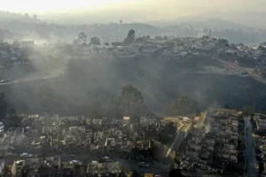 At least 19 dead as forest fires approach densely populated areas of Chile