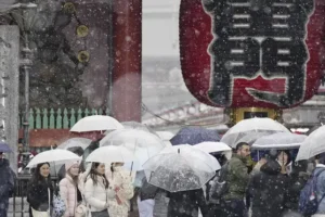 Heavy snow hits Tokyo, halting trains and grounding more than 100 flights